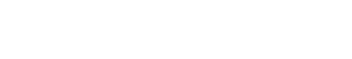 SparkInvoice logo light